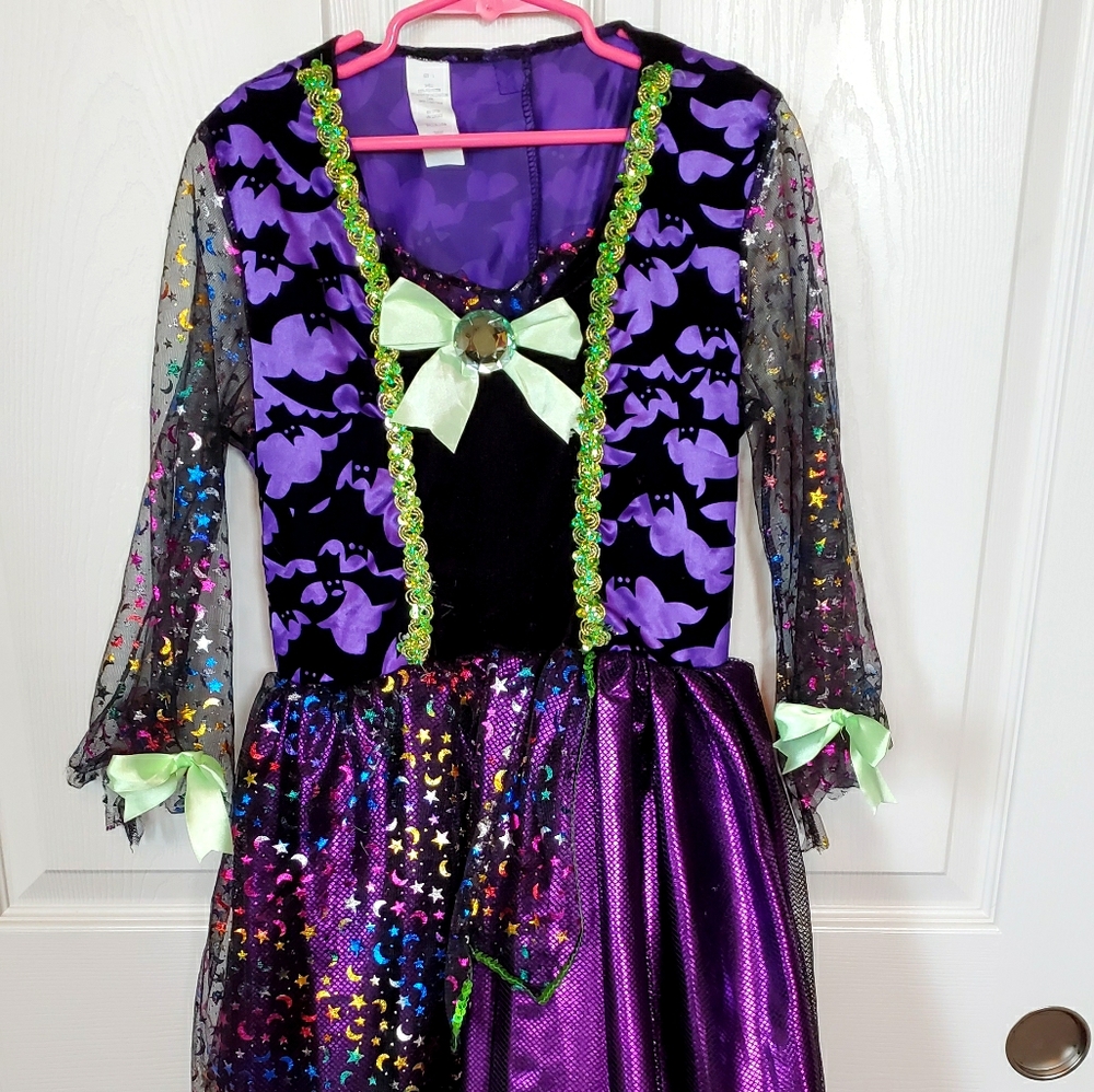 Long Premium Witch Costume